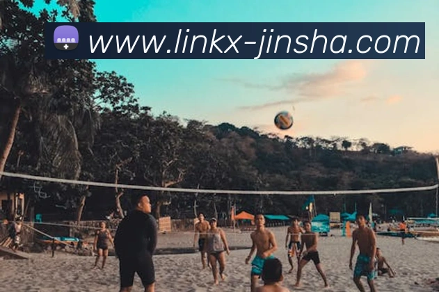 App Interface Preview